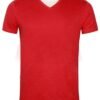 Mens Short Sleeve T Shirt V Neck 713 R