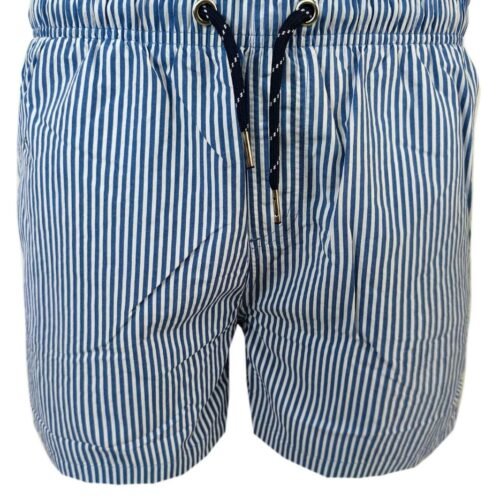 Men's Stripe Swim Shorts